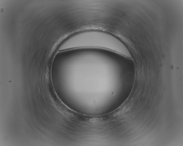 X0000073540064200607311001