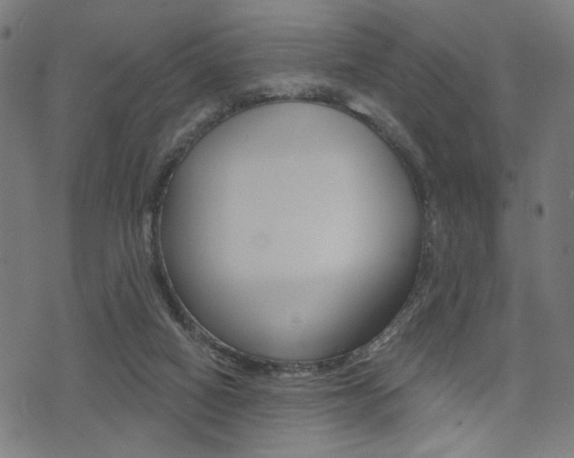 X0000073540066200607311001