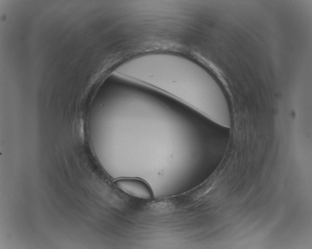 X0000073540067200607311001
