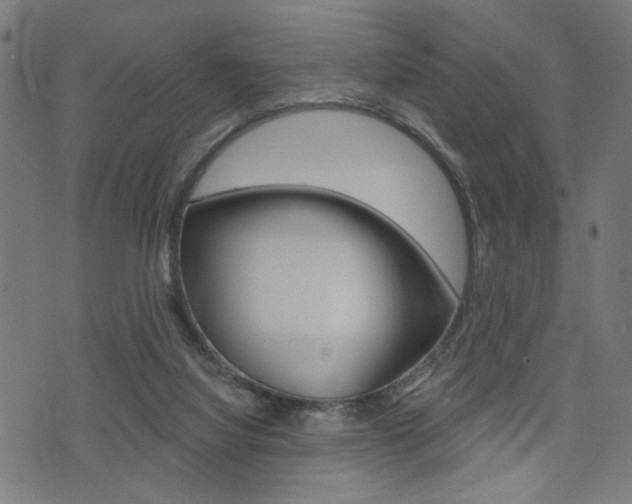 X0000073540068200607311001
