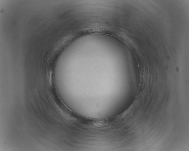 X0000073540070200607311001