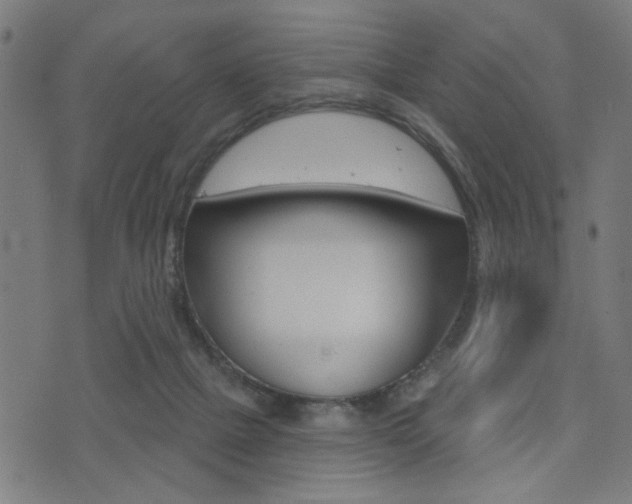 X0000073540073200607311001