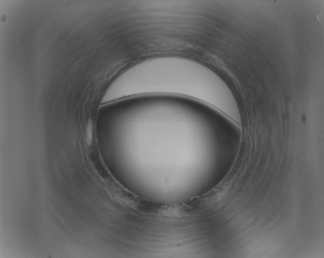 X0000073540076200607311001