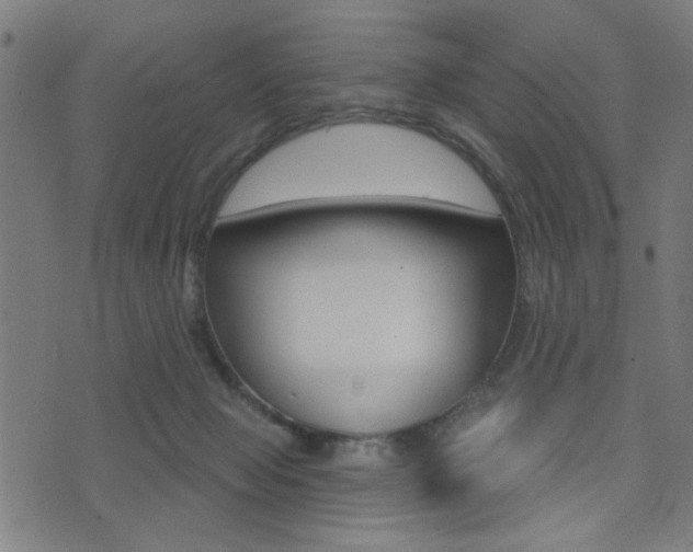 X0000073540077200607311001