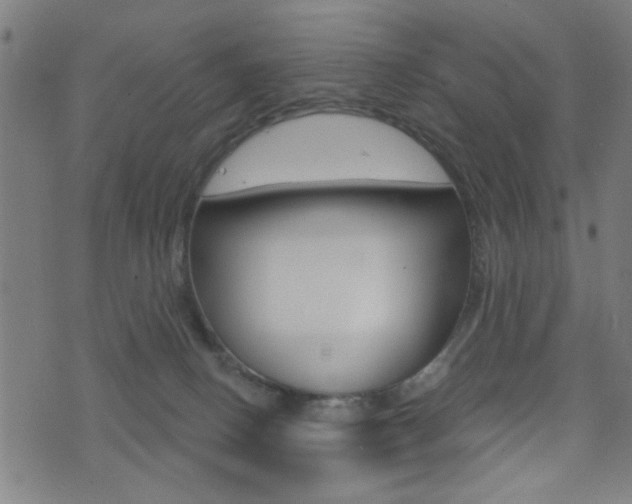 X0000073540082200607311001