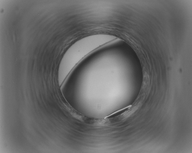 X0000073540096200607311002
