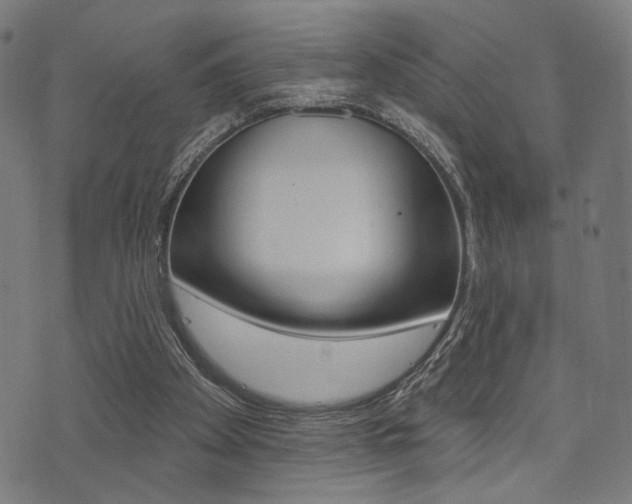 X0000073540105200607311001