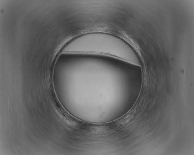X0000073540107200607311001