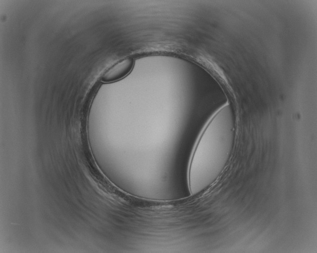 X0000073540108200607311001