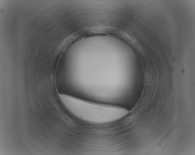 X0000073540117200607311001