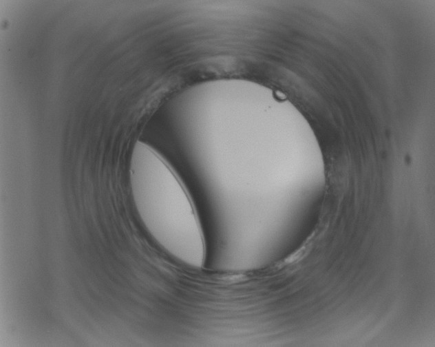 X0000073540132200607311000
