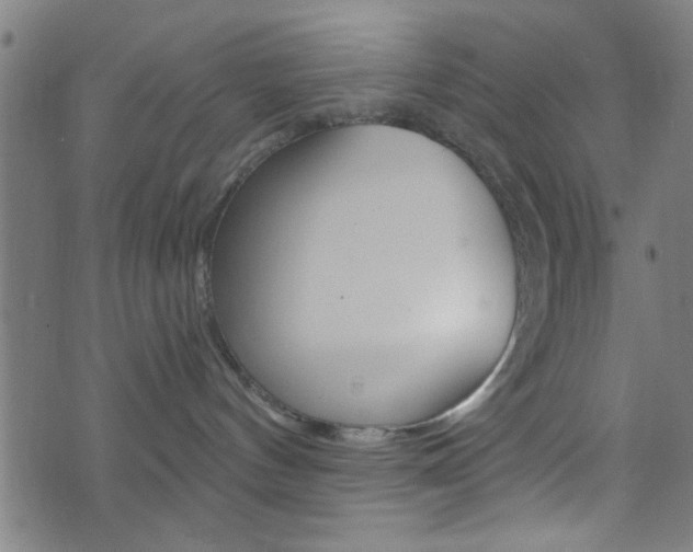 X0000073540144200607311000