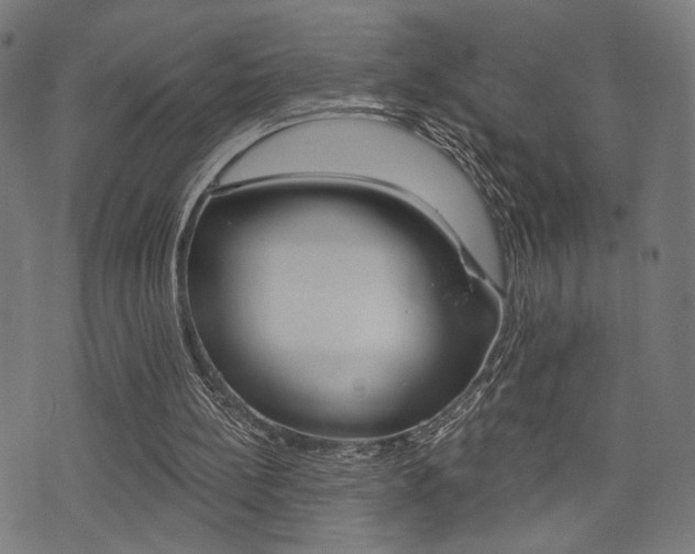 X0000073540148200607310959