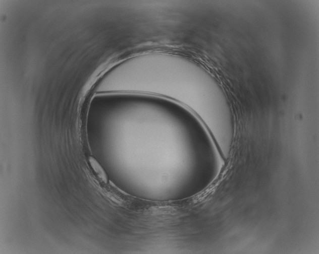 X0000073540150200607310959