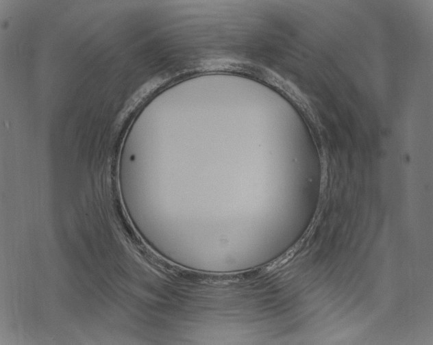 X0000073540155200607311000
