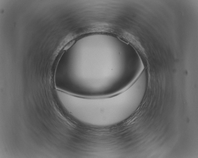 X0000073540156200607311000