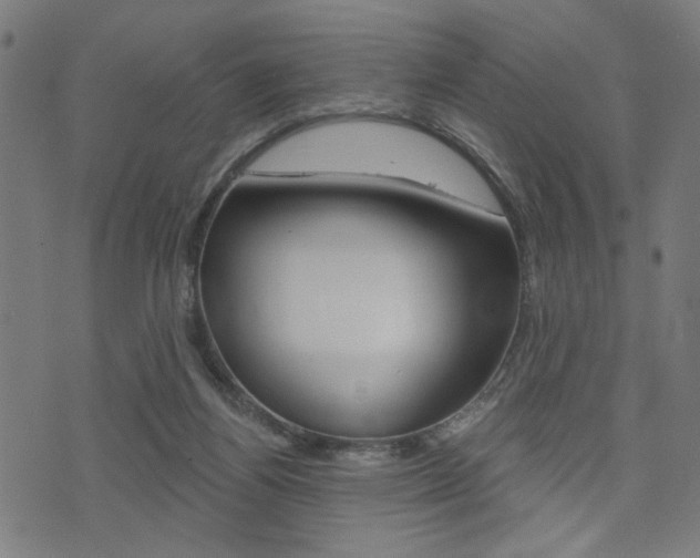 X0000073540164200607311000