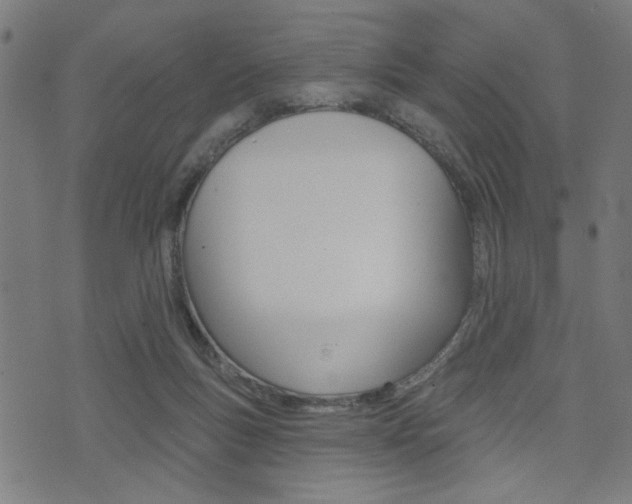X0000073540167200607311000