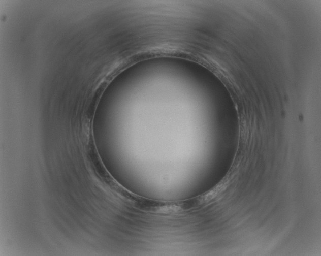 X0000073540168200607311000