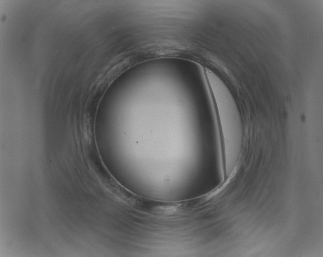 X0000073540170200607311000