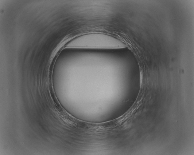 X0000073540195200607310959