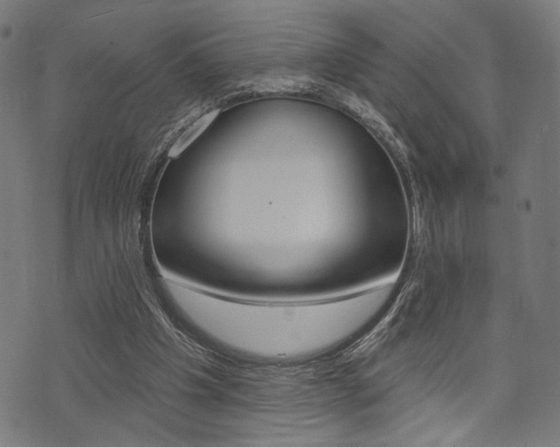 X0000073540201200607310959