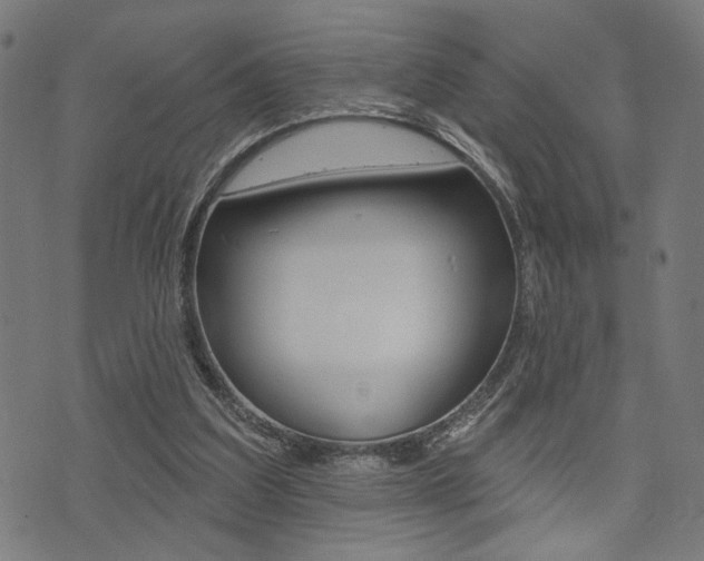 X0000073540203200607310959