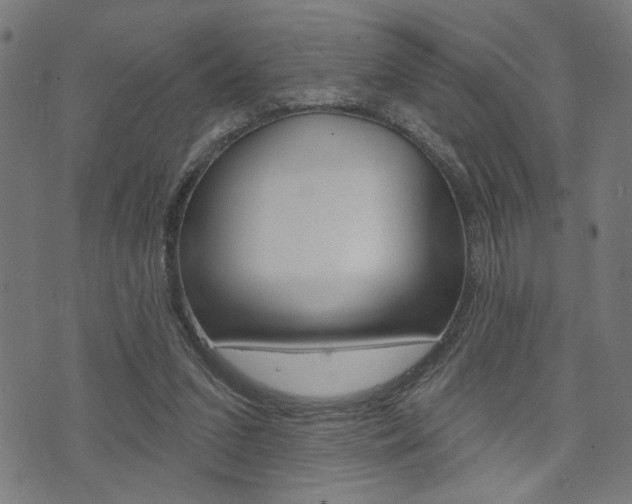 X0000073540207200607310959