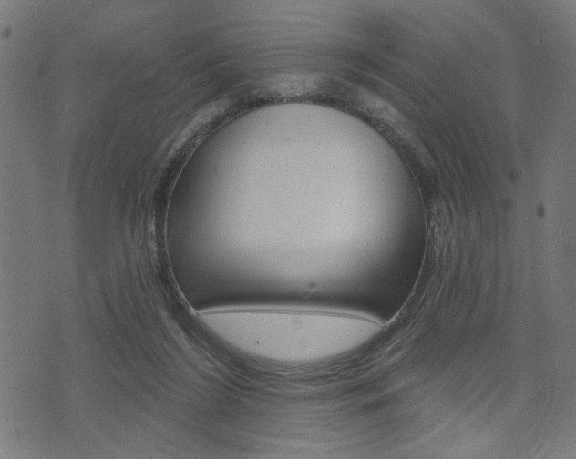 X0000073540212200607310959