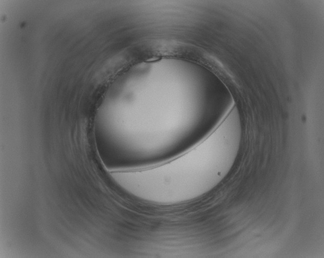 X0000073540217200607310959