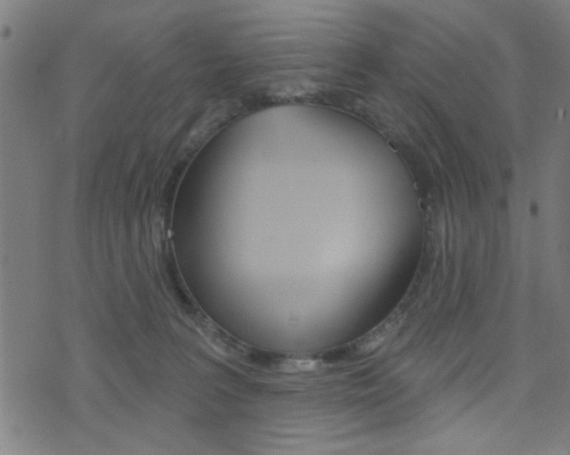 X0000073540227200607310959