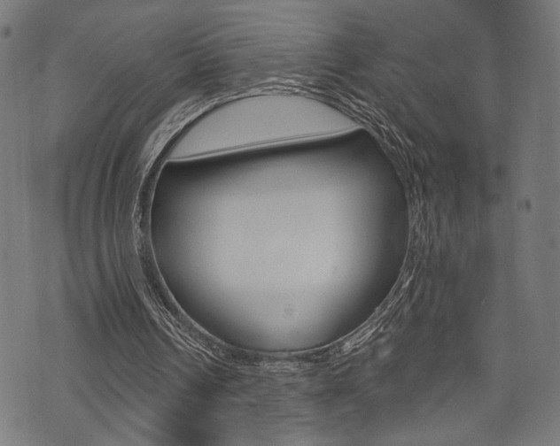 X0000073540242200607310958