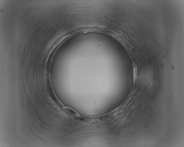 X0000073540243200607310958