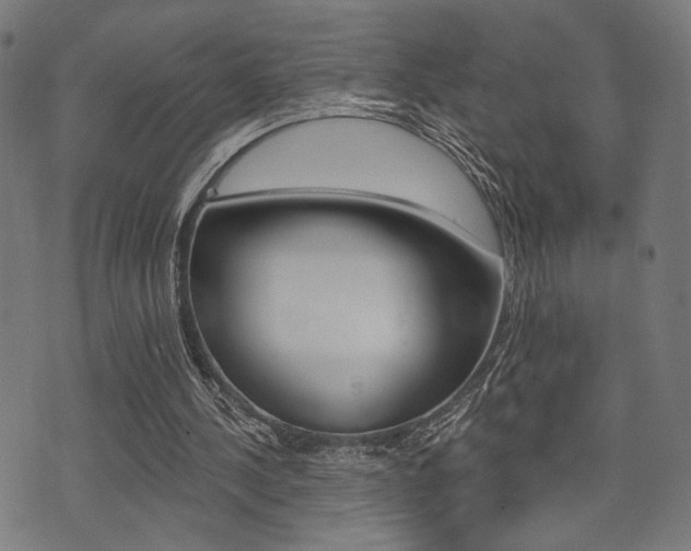 X0000073540244200607310958