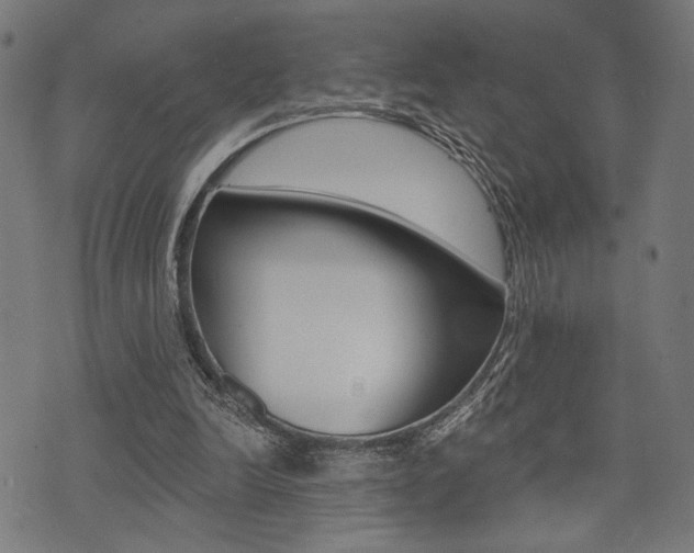 X0000073540246200607310958