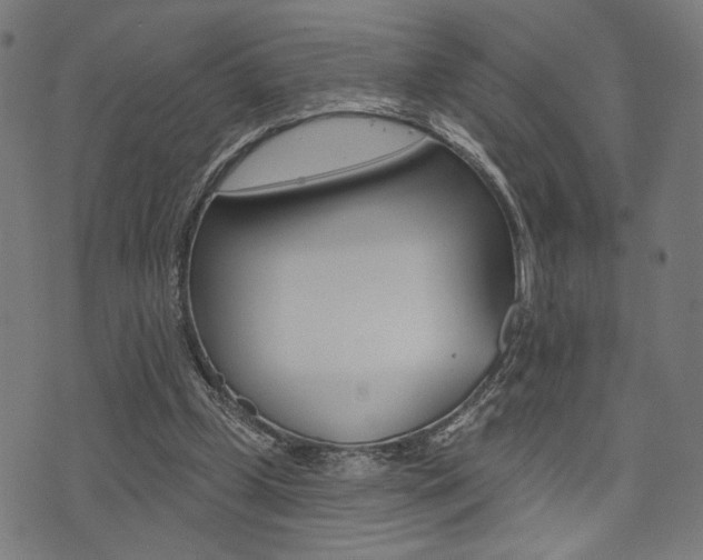 X0000073540249200607310958