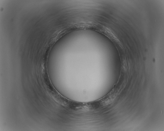 X0000073540259200607310958