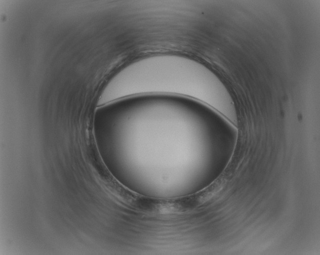 X0000073540264200607310958