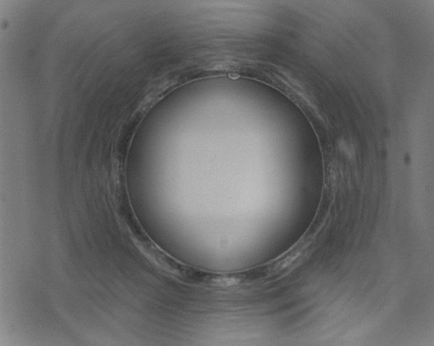 X0000073540265200607310958