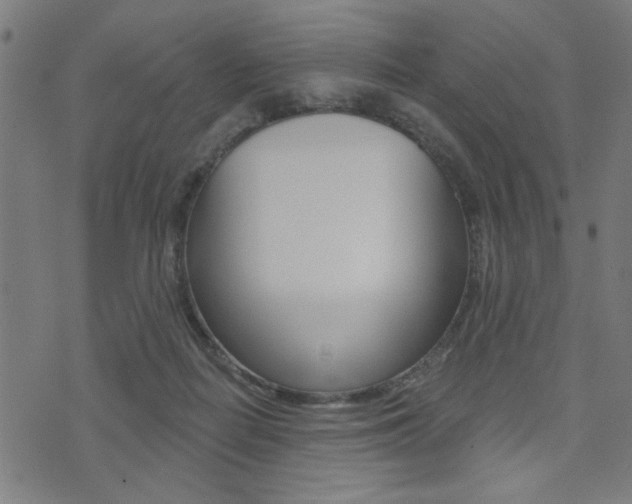 X0000073540266200607310958