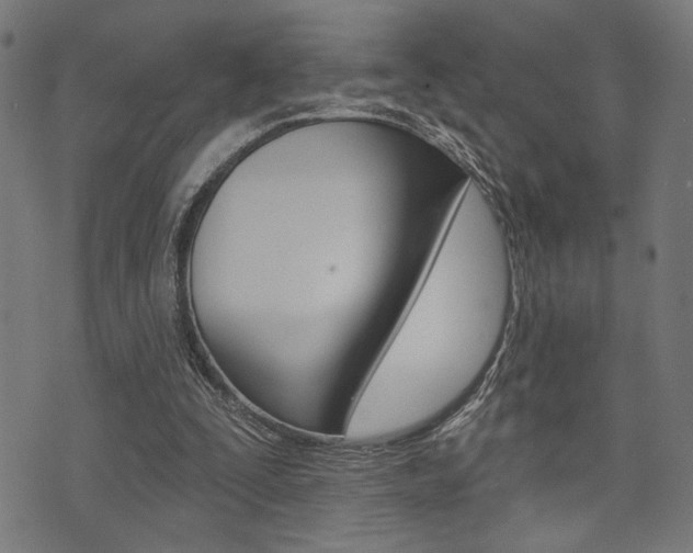 X0000073540295200607310958