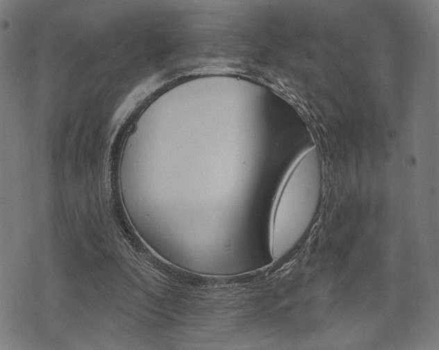 X0000073540296200607310958