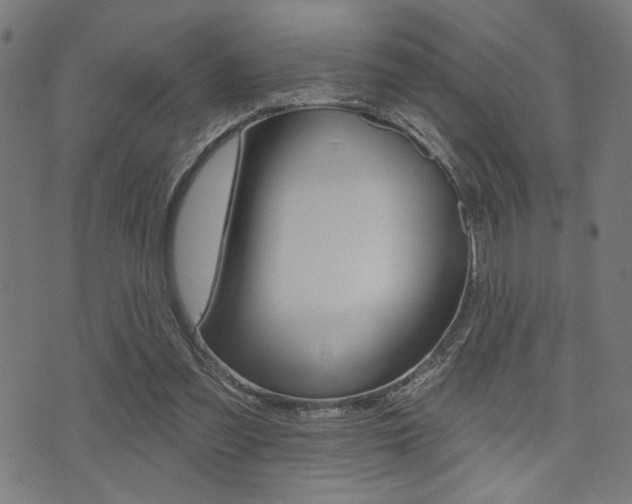 X0000073540301200607310958