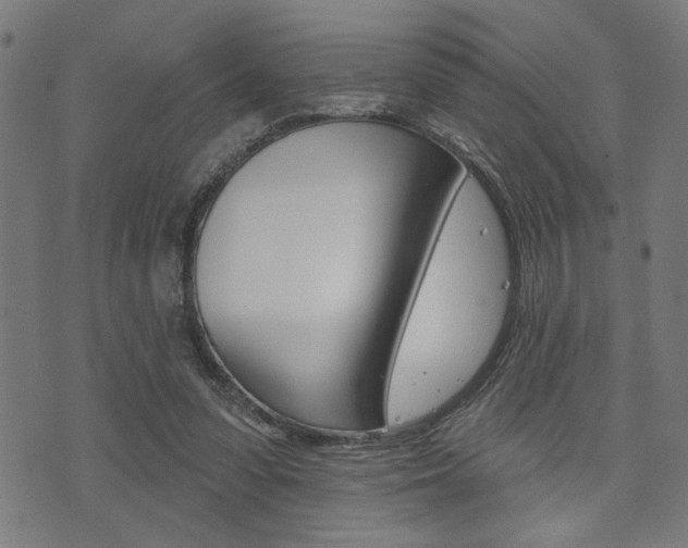 X0000073540303200607310958