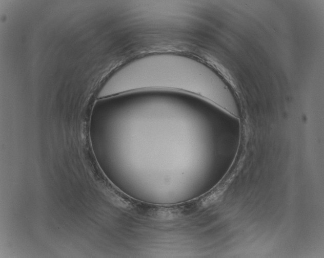 X0000073540305200607310958