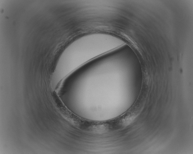 X0000073540307200607310957