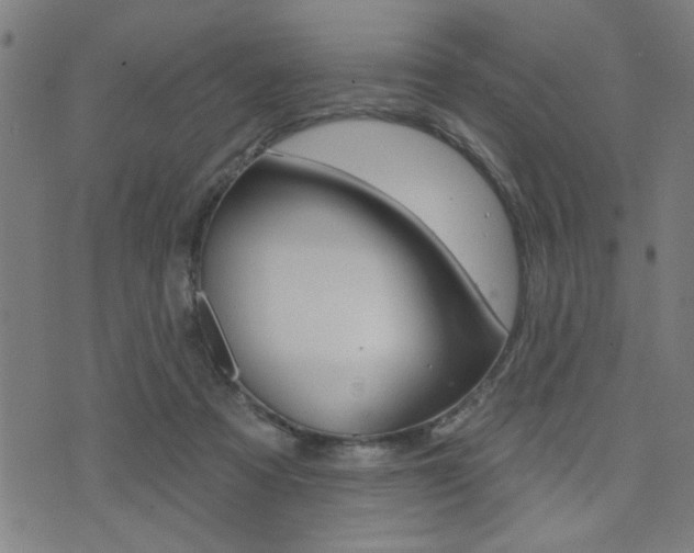 X0000073540313200607310957