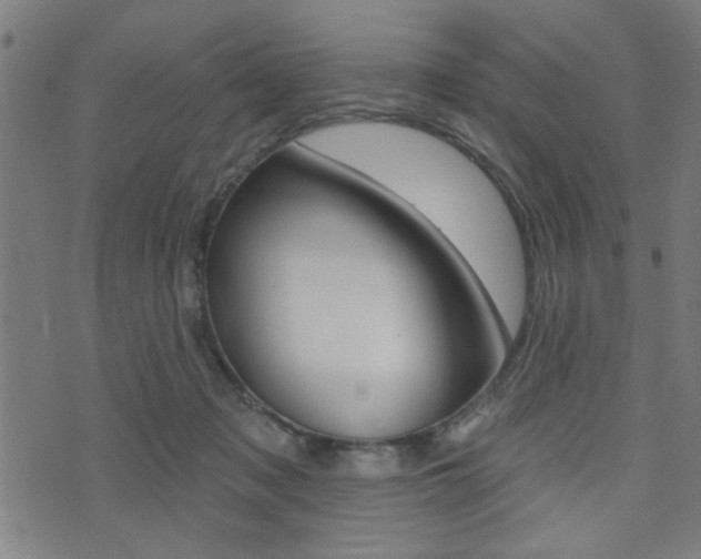 X0000073540317200607310957