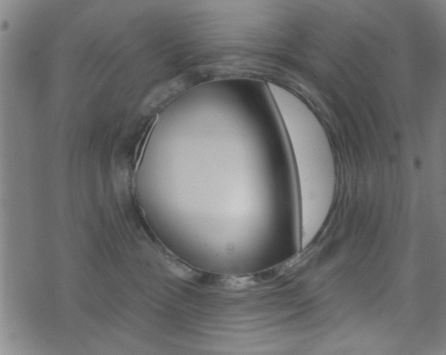 X0000073540333200607310957