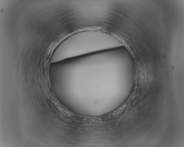 X0000073540337200607310956